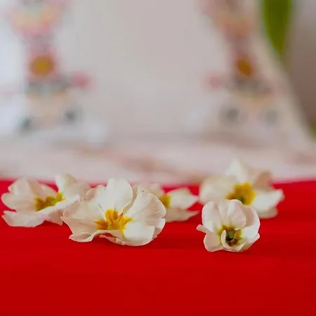 Antonija - Four-bedroom With Terrace And Private Pool Villa Čilipi