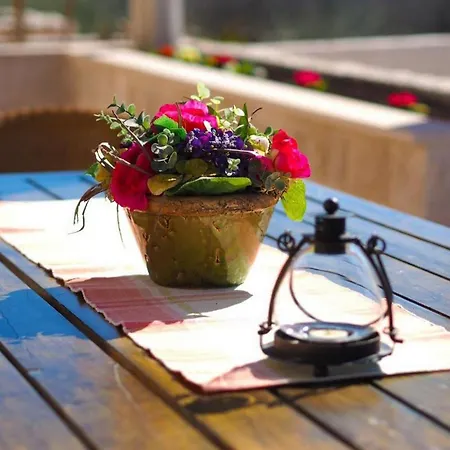 Antonija - Four-bedroom With Terrace And Private Pool Villa *