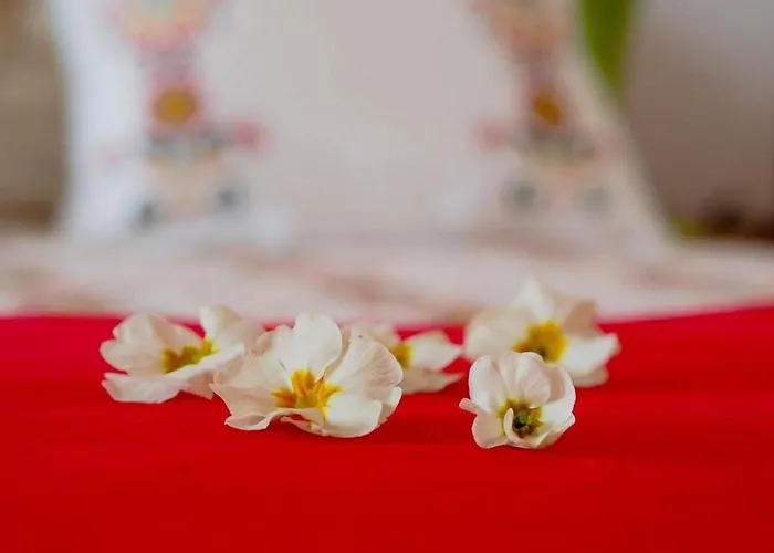 Antonija - Four-bedroom With Terrace And Private Pool Villa Čilipi